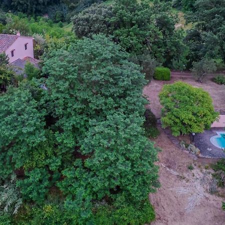 La Casa Nel Bosco Villa Lari Exteriör bild