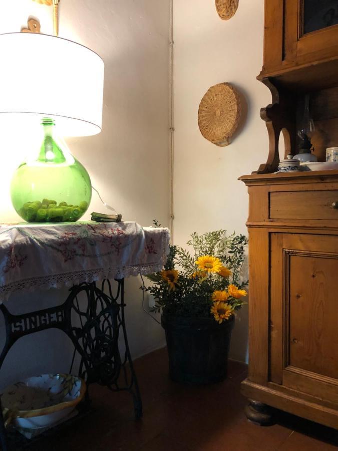 La Casa Nel Bosco Villa Lari Exteriör bild
