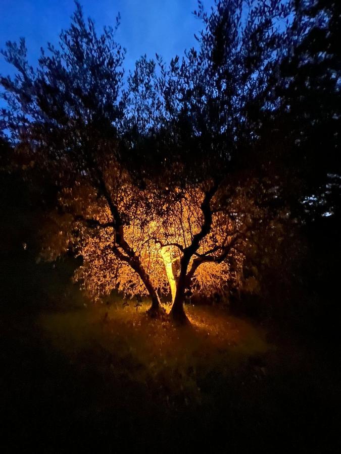 La Casa Nel Bosco Villa Lari Exteriör bild