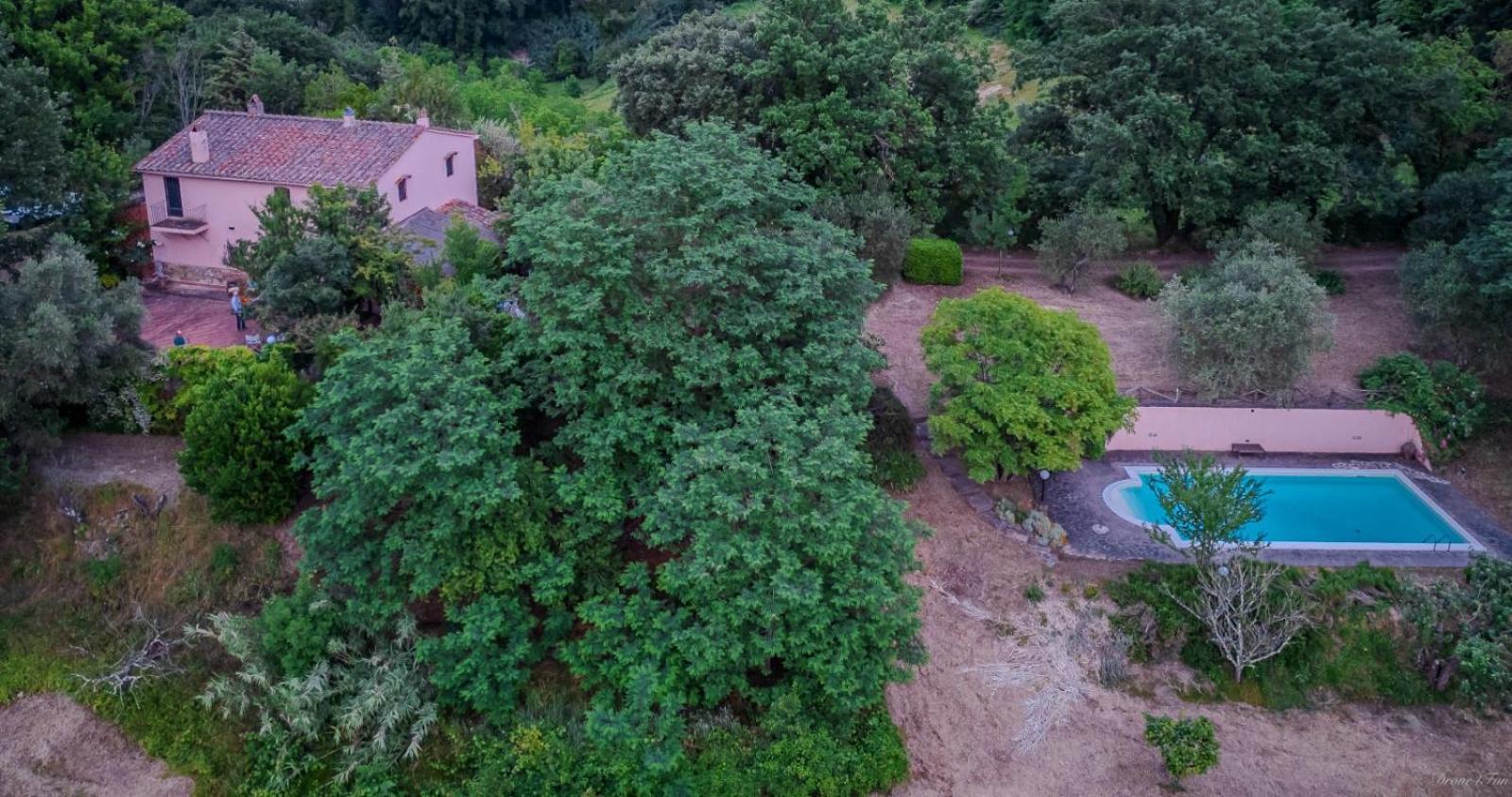 La Casa Nel Bosco Villa Lari Exteriör bild
